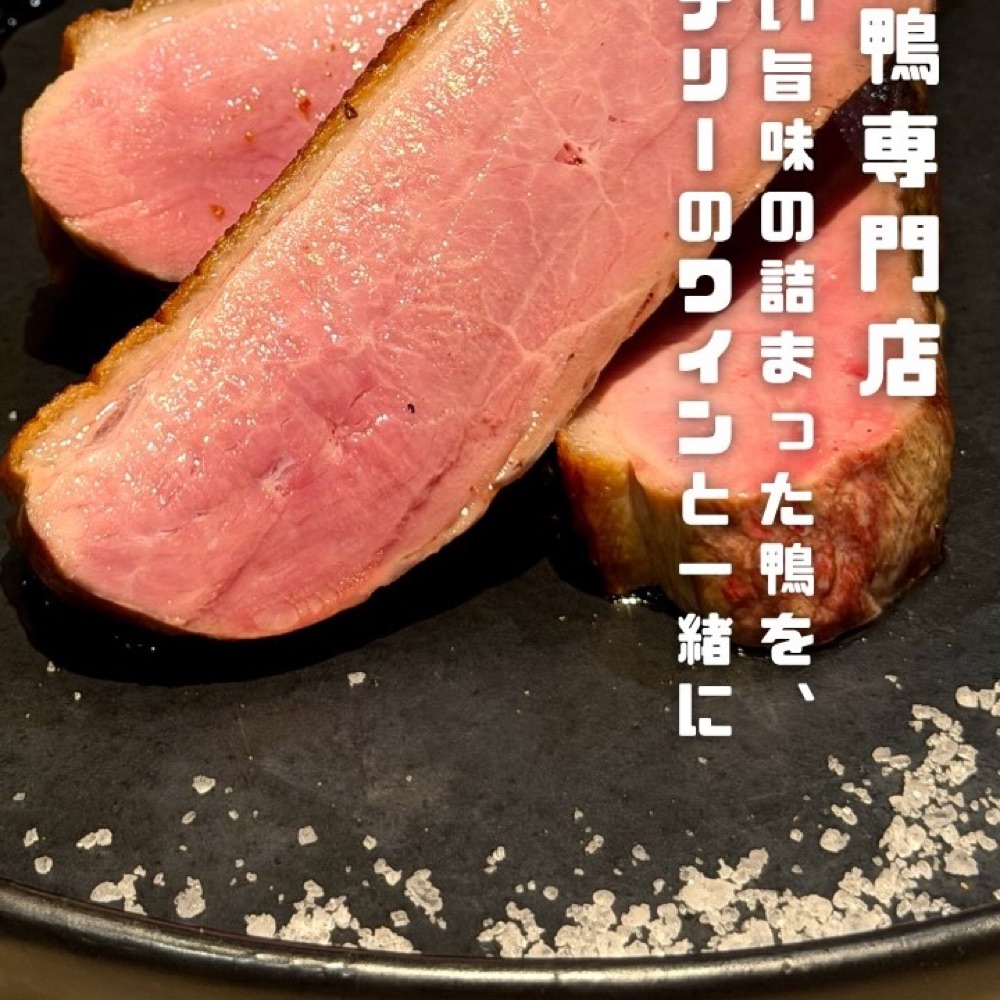 鴨一ワイン酒場 SUN（上野・浅草・御徒町／お肉）の料理写真