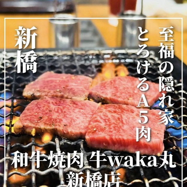 和牛焼肉 牛WAKA丸 新橋店（新橋・浜松町・田町／お肉）の料理写真