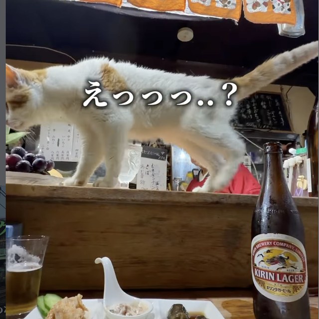 順子（上野・浅草・御徒町／魚・海鮮）の料理写真