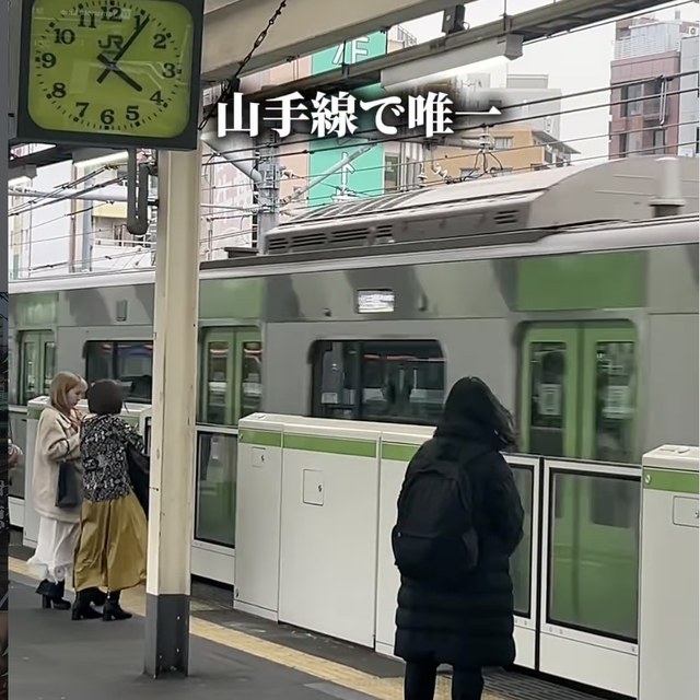 沖縄料理 餃子酒場ぶらんちゅ 池袋西口店（池袋・目白・高田馬場／割烹・和食）の料理写真